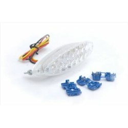 Eclairage de plaque LED R&G...