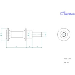 Vis LIGHTECH M6 X 21 Type...