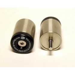 Embouts de guidon R&G...