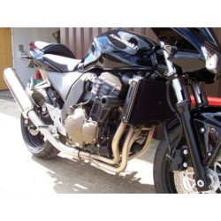 Ecopes de radiateur R&G...