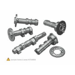 Arbre à cames admission HOT...