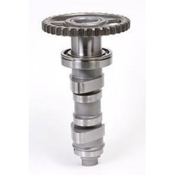 Arbre à cames HOT CAMS -...