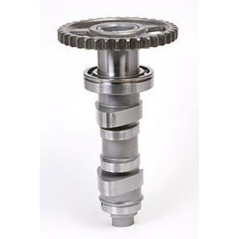 Arbre à cames HOT CAMS - Niveau 1 Honda CRF450R