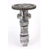 Arbre à cames HOT CAMS - Niveau 1 Honda CRF450R