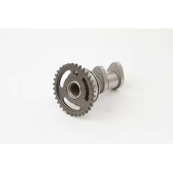 Arbre à cames admission HOT...