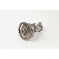 Arbre à cames HOT CAMS -...