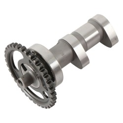 Arbre à cames échappement...