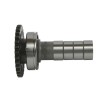 Arbre à cames admission HOT CAMS - Niveau 1 Yamaha YZ250F