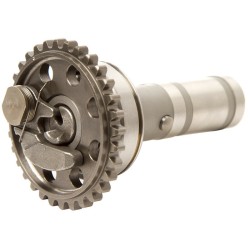 Arbre à cames échappement...