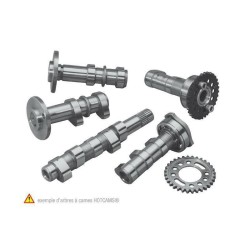 Arbre à cames échappement +...