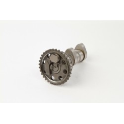 Arbre à cames échappement...