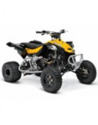 450 DS Can-am