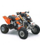 650 DS Can-am