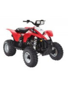 500 Scrambler Polaris