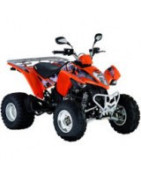 300 Maxxer Kymco