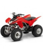 250 TRX Honda