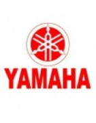 Quad Yamaha