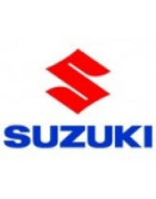 Quad Suzuki