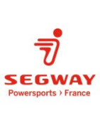Quad Segway