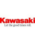 Quad Kawasaki