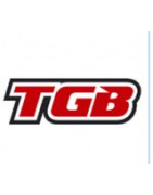 Quad TGB