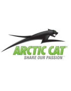 Quad Arctic Cat