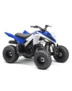 90 Raptor Yamaha