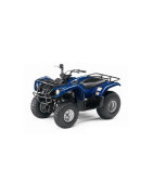 125 Grizzly Yamaha