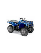 250 Big Bear Yamaha