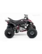 250 Raptor YFM-R Yamaha