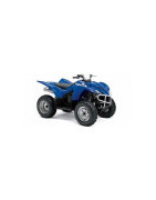 350 Wolverine Yamaha