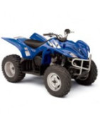 450 Wolverine Yamaha